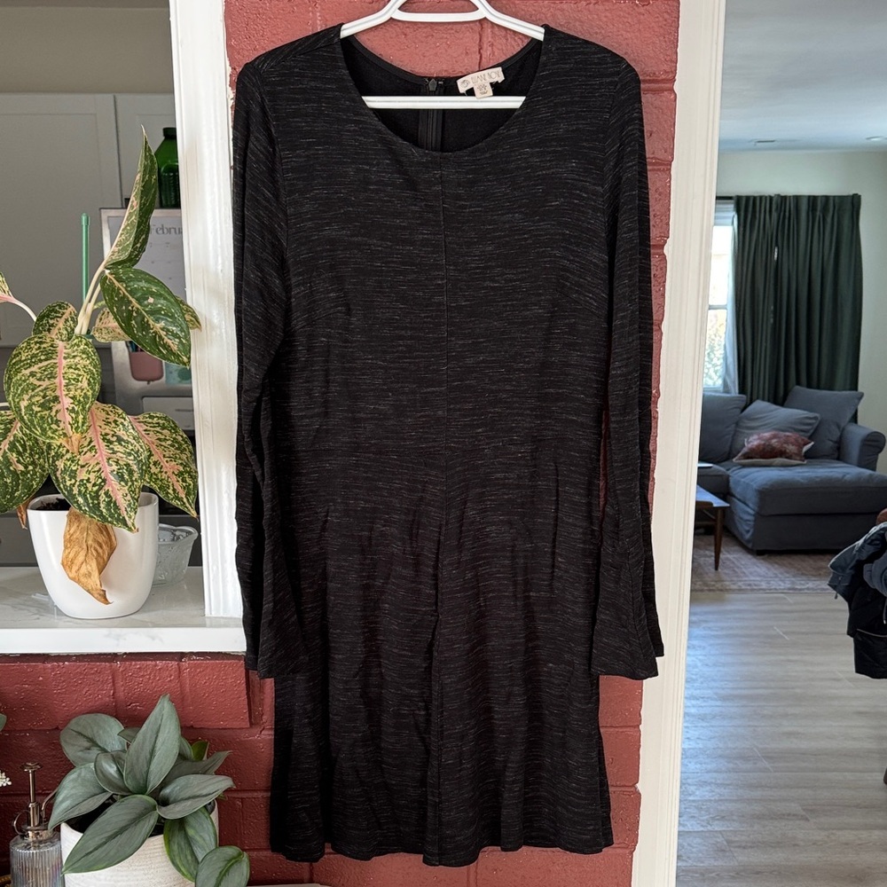 Eliane Rose Black Long Sleeve Swing Dress